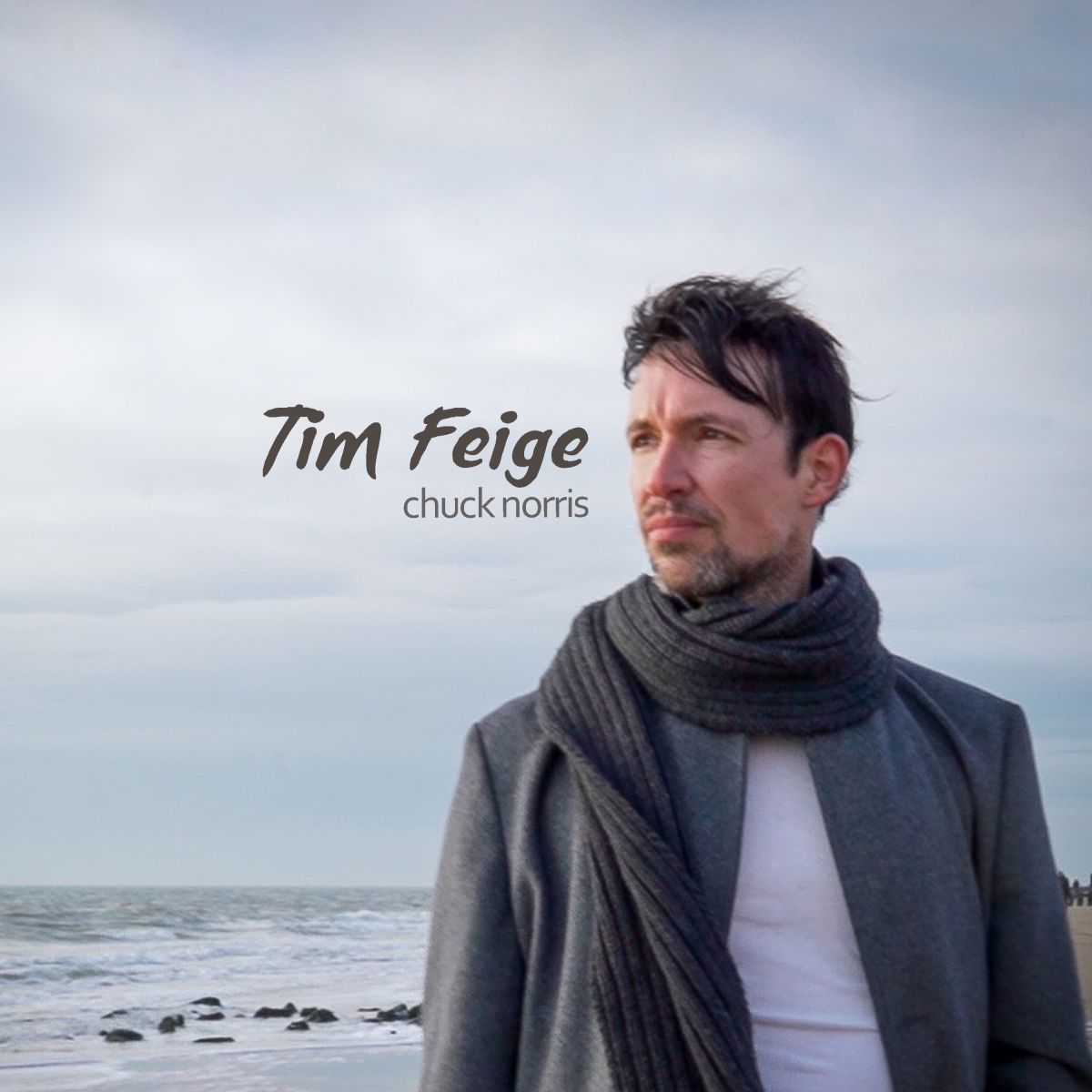 TIM FEIGE - CHUCK NORRIS Cover vorn  1200x1200.jpg
